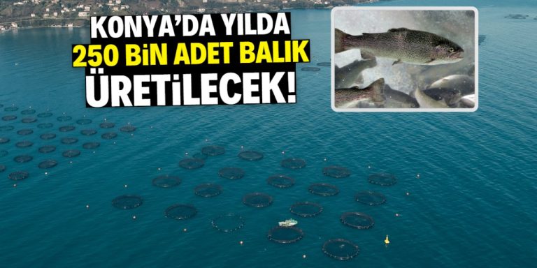 Konya’da yılda 250 bin tane balık üretilecek! Konum belli oldu