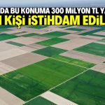 Konya Ovası’na 300 milyon liralık yatırım! 5 bin kişi istihdam edilecek