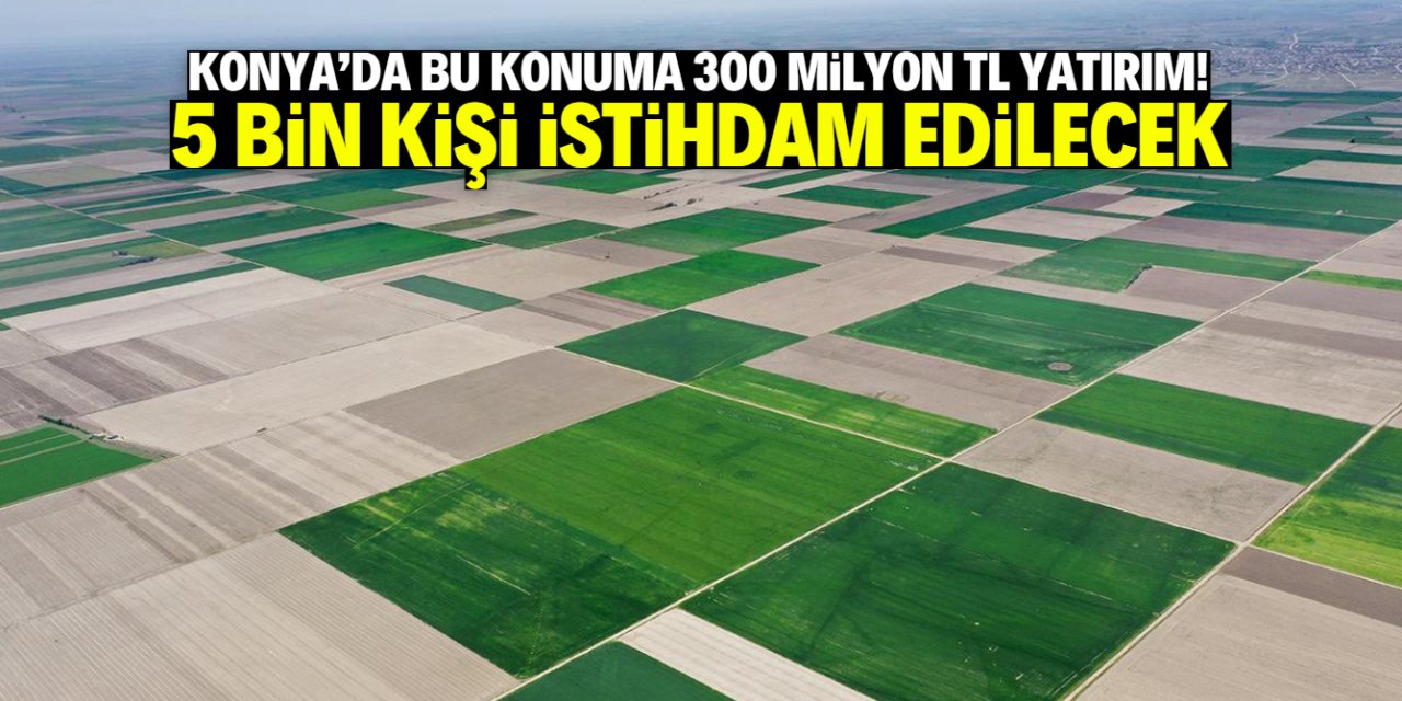 Konya Ovası’na 300 milyon liralık yatırım! 5 bin kişi istihdam edilecek