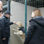 Samsun’a Yeni Görev Köpeği: Pars