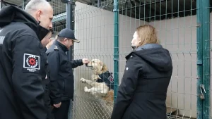 Samsun’a Yeni Görev Köpeği: Pars