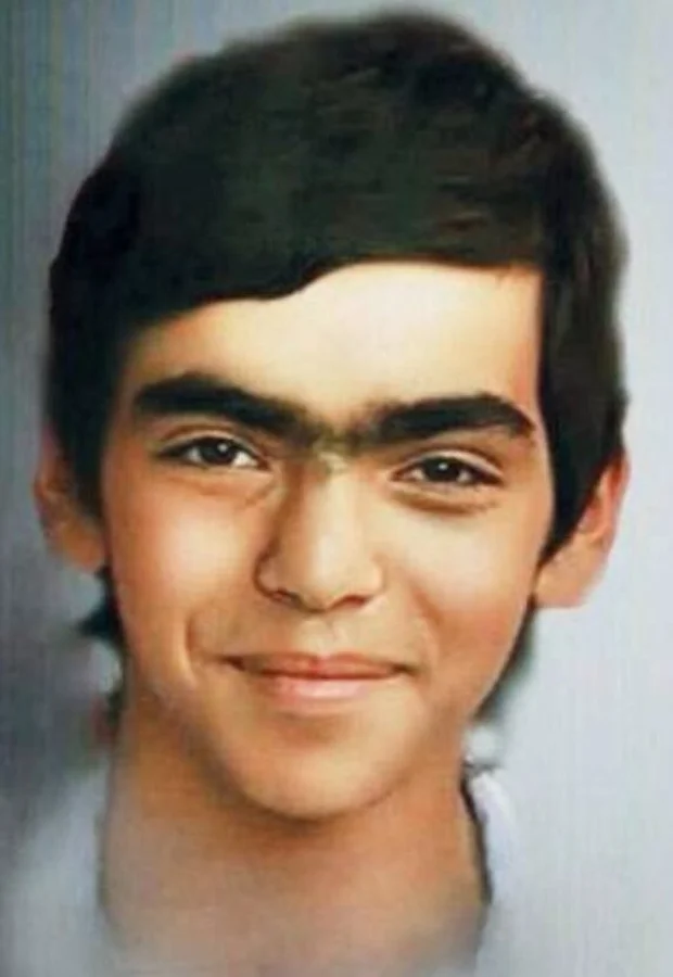 Berkin Elvan Kimdir?