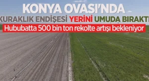 Konya Hububat Rekoltesi Yükseliyor
