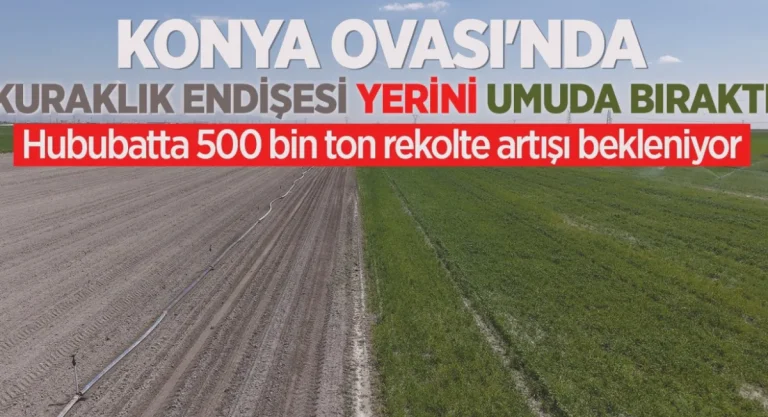 Konya Hububat Rekoltesi Yükseliyor